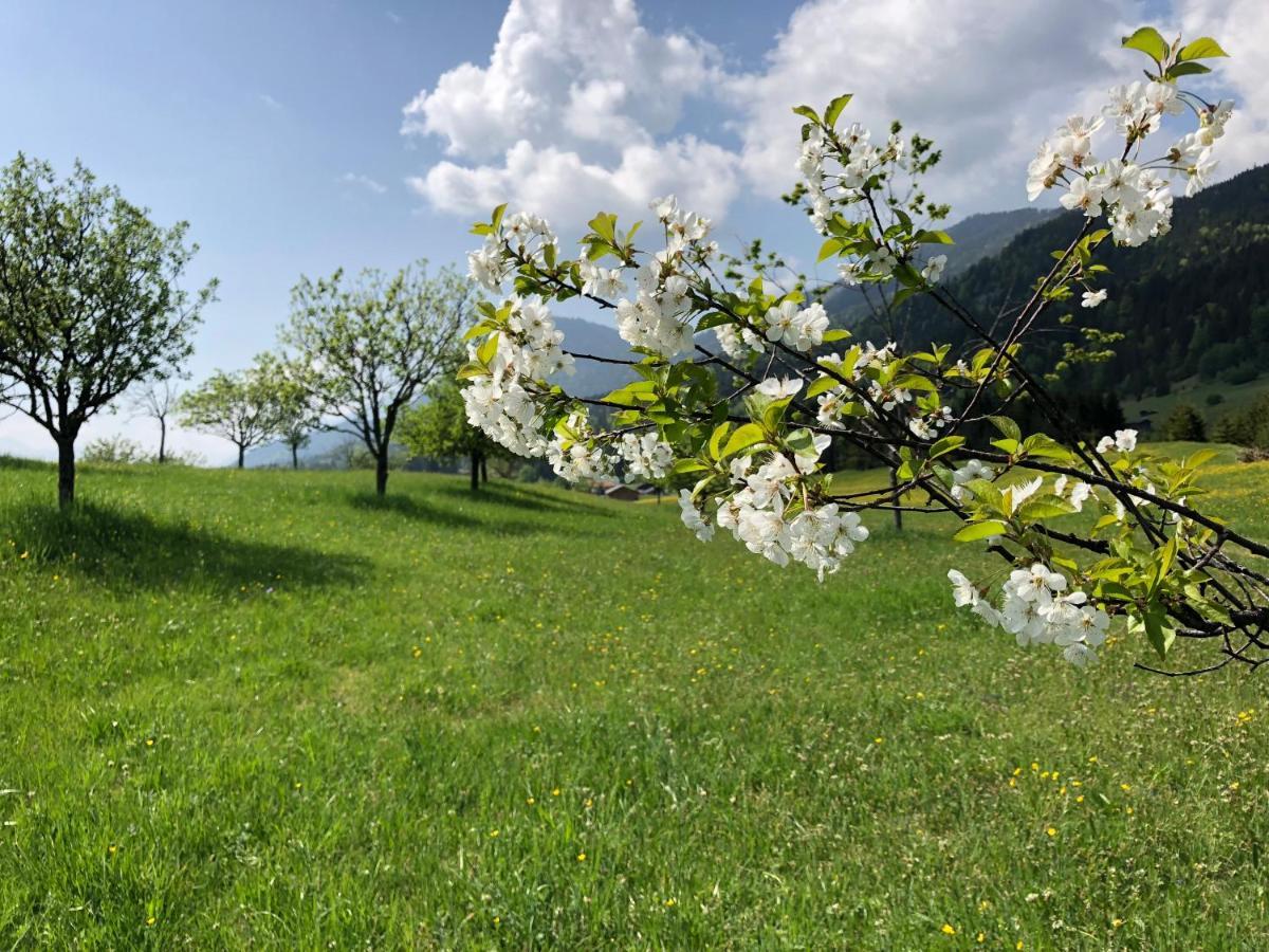 Alpenhof Kruen Hotel Bagian luar foto