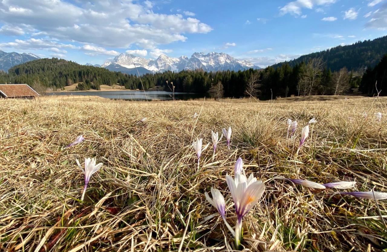 Alpenhof Kruen Hotel Bagian luar foto